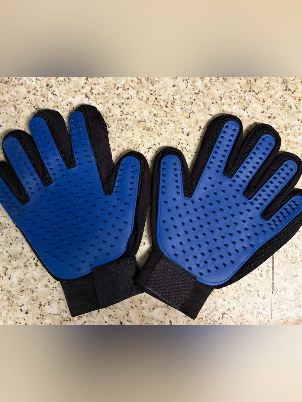 Blue Pet Grooming Gloves